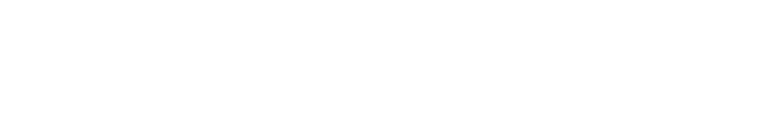 news logo